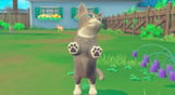 My Universe - Puppies & Kittens