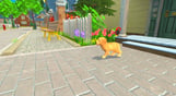 My Universe - Puppies & Kittens