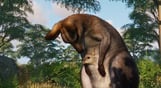 Planet Zoo: Grasslands Animal Pack