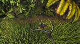 Lawn Mowing Simulator - Dino Safari