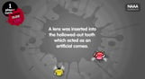 The Jackbox Party Pack