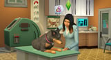 THE SIMS 4 - MY FIRST PET STUFF