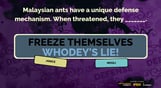 The Jackbox Party Pack 2