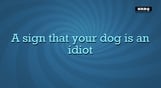 Quiplash 2 InterLASHional