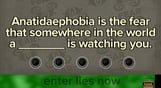 Fibbage XL