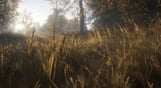 theHunter: Call of the Wild