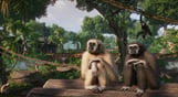 Planet Zoo: Tropical Pack