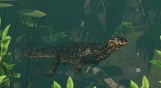 Planet Zoo: Tropical Pack