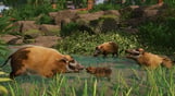 Planet Zoo: Tropical Pack
