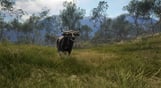 theHunter: Call of the Wild - Emerald Coast Australia