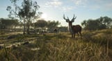 theHunter: Call of the Wild - Emerald Coast Australia