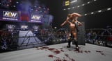 AEW: Fight Forever Elite Edition