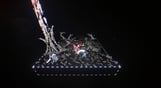 Bleak Sword DX