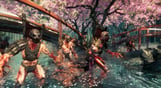 Shadow Warrior