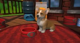 Little Friends: Puppy Island