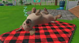 Little Friends: Puppy Island