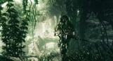Sniper Ghost Warrior Gold Edition