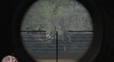 Sniper Art of Victory