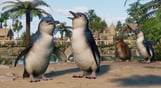 Planet Zoo: Oceania Pack