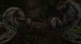 Gothic 2 Gold