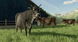 Farming Simulator 22 - Case IH Farmall Anniversary Pack