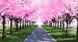 My Summer Adventure: Memories of Another Life