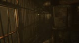 Wounded - The Beginning