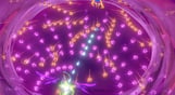Godstrike