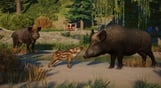 Planet Zoo: Eurasia Animal Pack