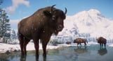 Planet Zoo: Eurasia Animal Pack