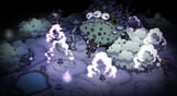 Don't Starve Together