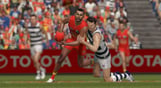 AFL 23
