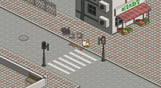 A Street Cat's Tale