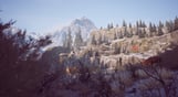 Winter Survival - Early Access