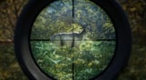 theHunter: Call of the Wild™ - Emerald Coast Cosmetic Pack