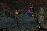 The Elder Scrolls III: Morrowind Game of the Year Edition