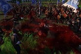 Total War: Three Kingdoms – Reign of Blood - ROW