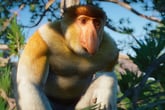 Planet Zoo: Southeast Asia Animal Pack