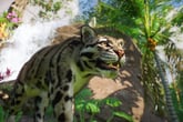 Planet Zoo: Southeast Asia Animal Pack