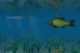 European Fishing