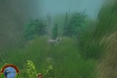 European Fishing