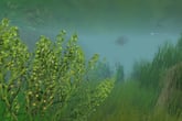 European Fishing