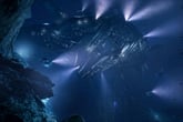 Aquanox Deep Descent Collector's Edition