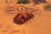 Sid Meier’s Civilization VI - Australia Civilization & Scenario Pack