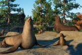Planet Zoo: North America Animal Pack