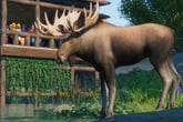 Planet Zoo: North America Animal Pack