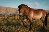 Planet Zoo: Conservation Pack