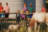 Planet Zoo: Conservation Pack