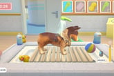 My Universe - Pet Clinic Cats & Dogs