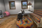 House Flipper Pets VR